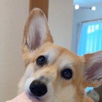 近づいて