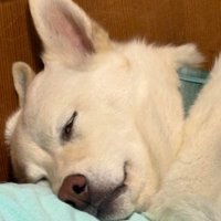 白目をむいてる！