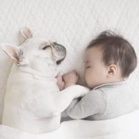 眠る赤ちゃんに寄り添う犬
