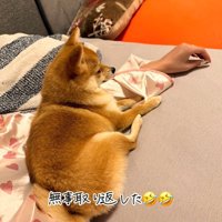 満足そう♪