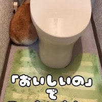 おやつにも釣られない…