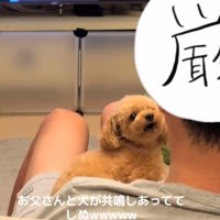一声吠えるあられちゃん