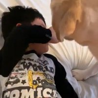 男の子を起こすバウくん5