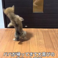 パパが帰ってくる！！