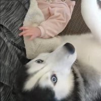 諭吉くんと赤ちゃん4