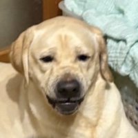 優しさ