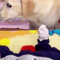 「どうしたらいいかな？」