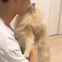 寝たふりは止めない！