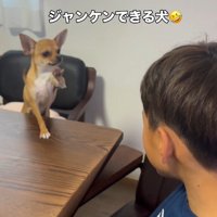 掛け声に合わせて、お手々を上げ下げ♪
