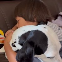 大型犬を抱きしめる子供
