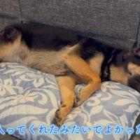 ひんやりして気持ち良さそう♪