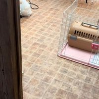 名前を呼ぶママ