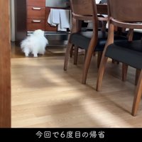 本当の孫みたい