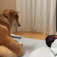 「大丈夫？」と心配