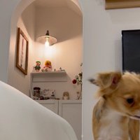 立ち上がった瞬間…