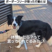 ジッピーくんの気遣い4