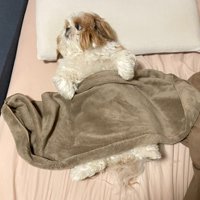 人間みたいな顔にクスッ