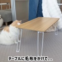 2匹とも興味津々