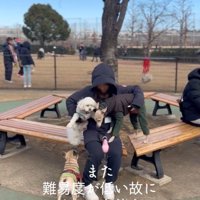 スキップ君の割り込みの手口8