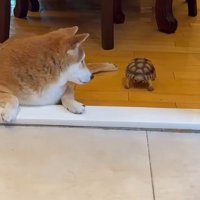 気にかけてくれる姿にほっこり