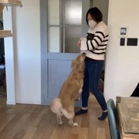 赤ちゃんを迎える犬