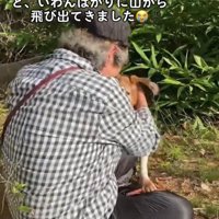 犬を撫でるおばあちゃん