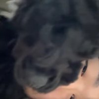 パパに覆いかぶさるベルちゃん