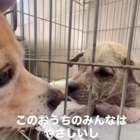 新しい家族はみんな優しい