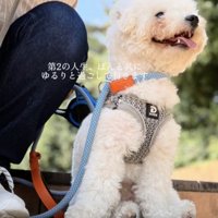 ゆるりと、幸せな毎日を。
