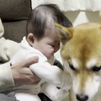 フワフワを堪能したら…