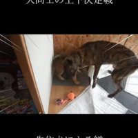 ：