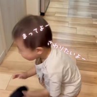 子犬に触ろうとする男の子