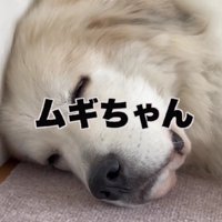 名前を呼んでも反応しない