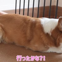 ちゃんと行ったか、耳を澄まして確認