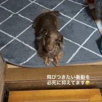 全力で葛藤中