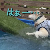 無事に生還