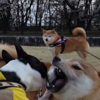 年代別