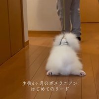 ほふく前進！