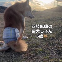 四肢が麻痺したしゅんくん