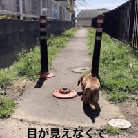 ジョンくんの辛すぎる過去