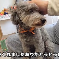 ナデナデ…♪