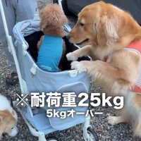 どう見ても小さすぎ…