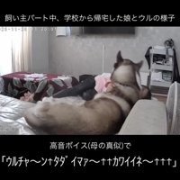 今ではこんなに仲良しに