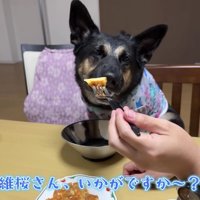 とっても美味しい！！