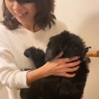 「どうしたの～！」