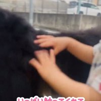尻尾を触る男の子