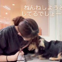 また寝るかと思いきや…
