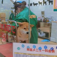 爪切り中もお利口さん