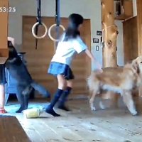 「ただいまー！」