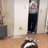 赤ちゃんとの初対面